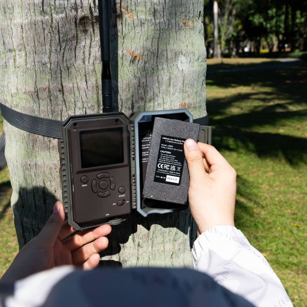 Cámara de Vigilancia en Árbol 