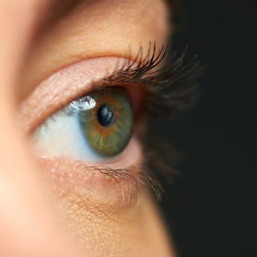 angulo vision ojo humano