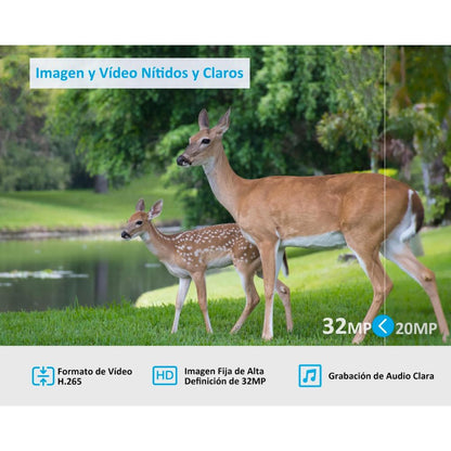 Detalle de la imagen y video nitidos y claros con camara