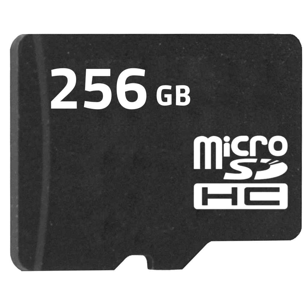 Memoria Micro SD 256GB - camaras-espias.com